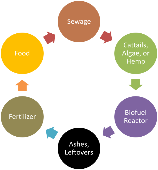 A biofuel-enhanced phosphate cycle